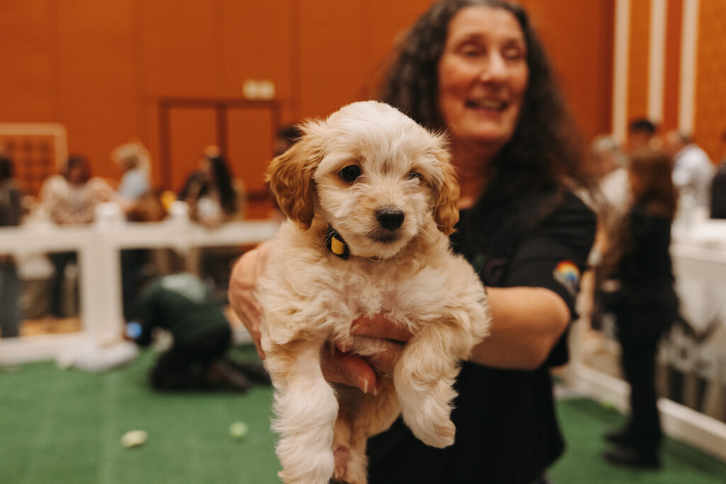 A person with long hair holds up a small, fluffy, cream-colored puppy indoors, with people and a white fence visible in the background.