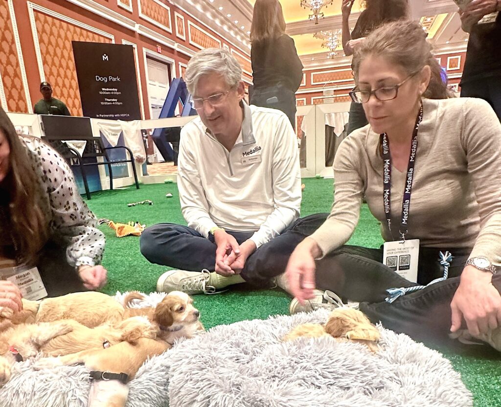 Three people sit on artificial grass indoors, petting small puppies that are lying on soft beds. The setting resembles a conference or event with a “Dog Park” sign in the background. Everyone looks relaxed and happy.